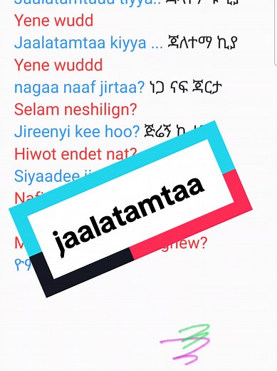 Jaalatamtaa: Learning Oromo Language Insights