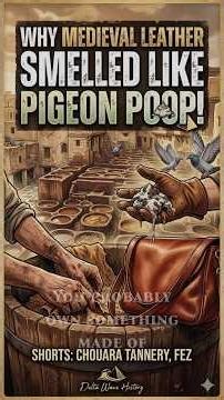 Why Medieval Leather Smelled Like PIGEON POOP #History #MedievalFez #WeirdHistory #Shorts