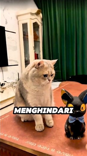 Emon and the Mysterious Cat Piggy Bank 🙀 #shorts