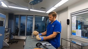 It’s time for a teddy vet check! Grab your favourite teddy and follow along with our senior vet James! Auckland Zoo’s veterinary team provide essential care for wildlife - looking after the animals at our Zoo as well as treating sick or injured inpatients from the wild. On any given day this could mean giving x-rays to a ruru (morepork) or performing a GA for a two tonne Southern white rhino. It’s important we perform thorough checks of the animals in our care – from ears to feet as well checkin