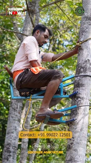 Tree climbing is an exhilarating activity that allows adventurers to connect with nature from a unique perspective. This cycle begins with selecting the right tree, considering factors like height, type, and health. Safety equipment such as harnesses and ropes are essential to ensure a secure ascent. Climbers utilize various techniques for effective climbing, including foot placement and grip strategies. The experience offers not only a workout but also rewards participants with stunning views a