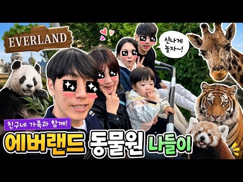 에버랜드 동물원 레전드 모음 (마지막 기린 주의)
