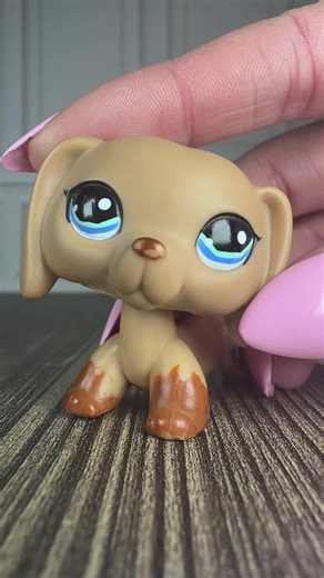 Replying to @Ky finallyyy got 1211🙈 #lps #littlestpetshop #lpscollection
