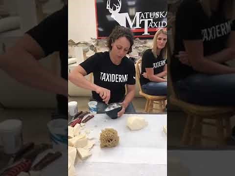 Learn Taxidermy: Rocking Out with Artificial Rocks