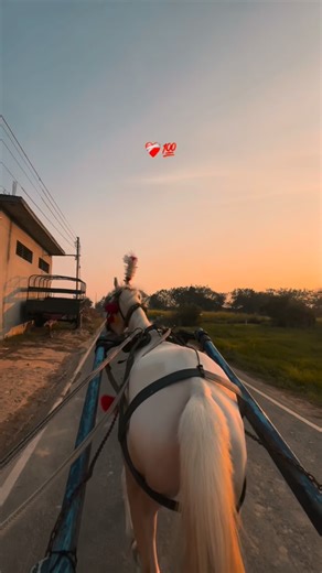 🐴𝙰𝚂𝙷𝙰𝚅𝙿𝚁𝙴𝙼𝙸💝 on Instagram: "LINES❤️‍🩹…………… #trending #viral #instadaily #instalike #wmk"