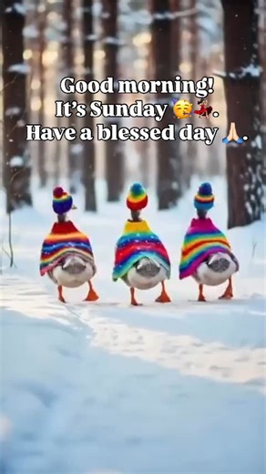 Amanda Inspires 🇨🇦🔆 on Instagram: "Good morning!! ☀️ It’s SUNDAY 🥳💃🏻 Take a deep breath and feel that fresh start energy. Today is a reminder that you made it through another week — and you get to step into this day with peace, purpose, and gratitude. 🙏🏻✨ Let today be soft… but powerful. Rest if you need it. Reset what’s been heavy. Refocus on what matters. And walk into this day knowing you are covered, guided, and blessed. 💛 May your coffee be strong, your heart be light, and your day