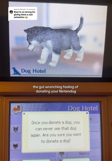 The Heartfelt Dilemma of Donating Your Nintendog