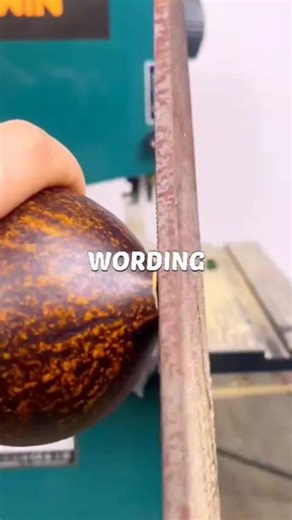 #The Homework Rule#lyricsvideo