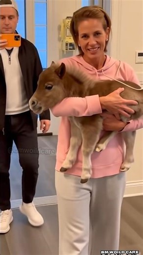 “This family adopted a weak mini horse and then this happened…”#shorts