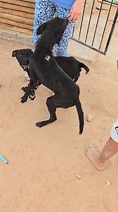 20K views · 370 reactions | Luckily Aunty Magda spotted the one...