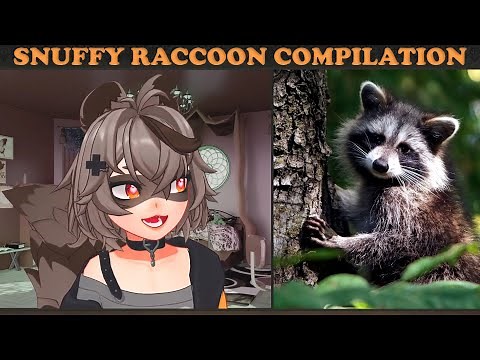 Snuffy Raccoon Compilation