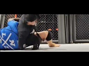 Mixed wrestling/ grappling