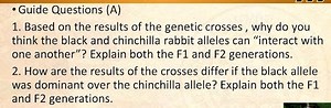 - Guide Questions (A)1. Based on the results of the genetic cr... | Filo