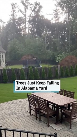 579K views · 6.1K reactions | This video gets crazier the longer you watch it. | The Weather Channel | Facebook