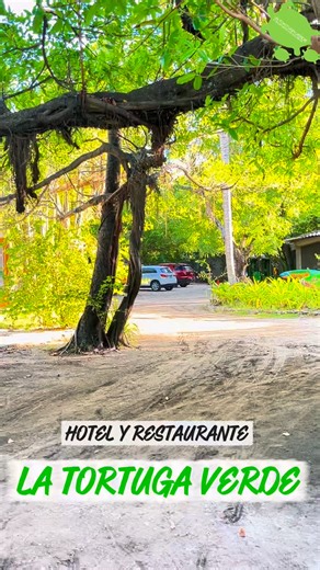 Tu escape perfecto te espera en La Tortuga Verde 🌴🌊 Playa Intipucá, La Unión: relax total, naturaleza pura y momentos inolvidables. El lugar donde desconectas de verdad. Comenta “VOY” o DM para más información. Reserva ya al 7338-9646📩 #LaTortugaVerde #PlayaIntipuca #HotelElSalvador #EscapadaPlayera #ParaísoSalvadoreno | La Tortuga Verde
