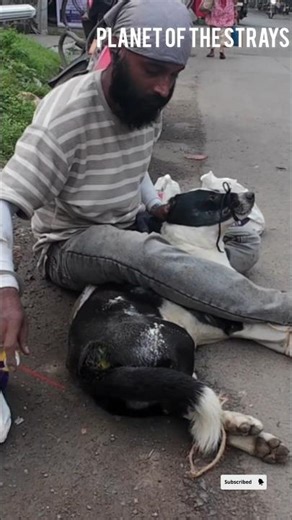 YOU WONT SEE THE STRUGGLE BEHIND IT 🐾🙂🙏 #shorts #humanity #treatment #animalrescue #share #fypシ