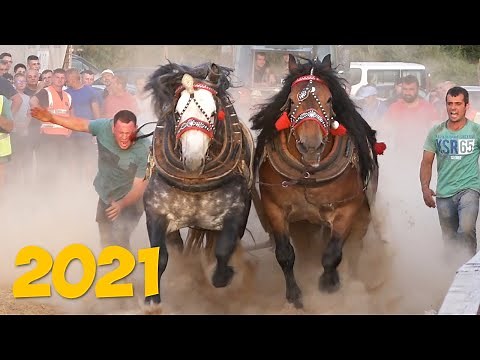 ŠTRAPARIJADA PODBRDO - MRKONJIĆ GRAD 2021 !!!