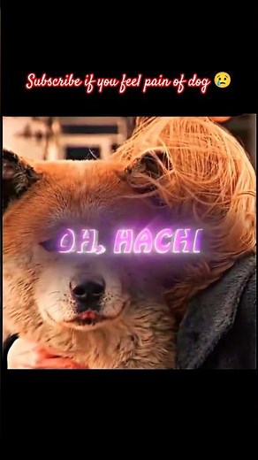 🎬Hachi: A Dog's Tale (2009)🎬