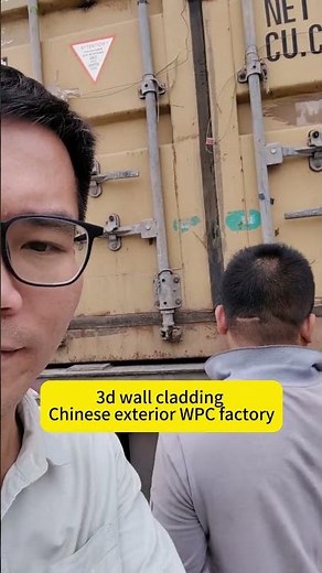 3d wall cladding Chinese exterior WPC factory #3dwallcladding