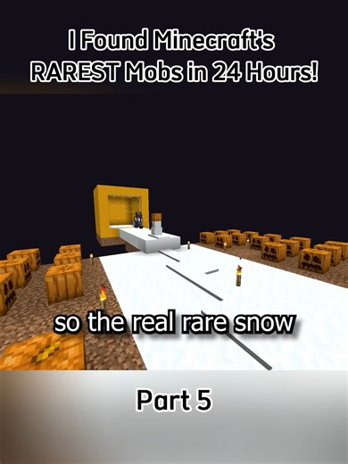 Discovering Minecraft's Rarest Mobs in 24 Hours
