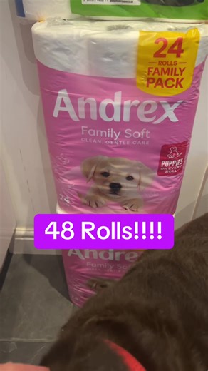 Toilet Paper Deal: Stock Up with 48 Rolls for Less