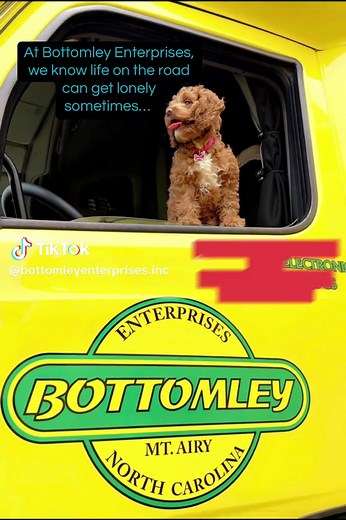 At Bottomley Enterprises, we know life on the road can get lonely sometimes… and that’s why we welcome your furry co-drivers to ride along with you! Whether it’s a dog riding shotgun, a cat curled up on the bunk, or your best road-trip buddy keeping you company mile after mile! Pets are family, and family is welcome here. From early morning truck stop walks to late night driving conversations (even if they only answer with a bark), a good co-pilot makes the road feel a little more like home. So