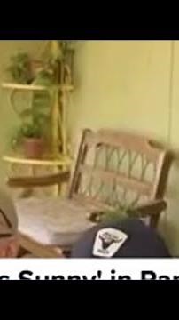 'Always Sunny' in Ramona offers social engagement, activities for older adults