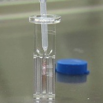 Video: Efficient iPS Cell Generation from Blood Using Episomes and HDAC Inhibitors