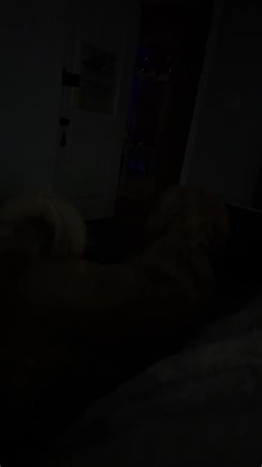 (Mrr.froggy) 🐸 (@mrr.froggy1)’s videos with original sound - (Mrr.froggy) 🐸