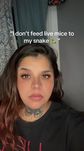 #snakesoftiktok #sna #fypシ゚viral #conten #funny | Snake TikTok