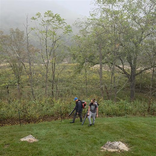 14K views · 334 reactions | Dueling leaf blowers!  I knew it sounded like a leaf blower but a little bit different, and I couldn't figure it out until I made it around the corner and saw that I was hearing two of them in tandem! 勞 The walnuts have been super plentiful this year, as have the chestnuts and their awful spiky hulls.  Autumn in Appalachia! 李癩李 #quiltville #bonniekhunter #quilter #quilt #quilting | Quiltville | Facebook