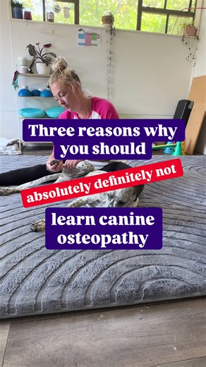 The side effects of studying canine osteopathy…