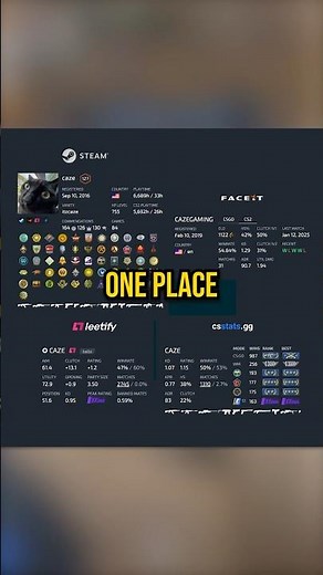 SEE ANY CS2 PLAYER STATS IN ONE PLACE