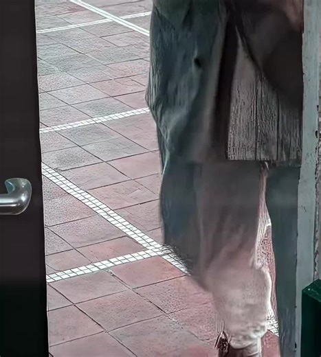 Trending viral hashtags in early 2026 focus on high-reach, platform-specific tags to maximize visibility. Top general tags include #viral, #trending, #fyp, #explorepage, #explore, and #reels. For specific content, top tags include #love, #instagood, #fashion, #art, and #photography. Planable Planable 1 Here are the top trending hashtags across platforms: 🔥 Top General Viral Hashtags (2026) #viral #trending #fyp (For You Page) #explorepage / #explore #reels / #reelsinstagram #fypシ #trendingnow T