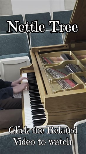 Nettle tree is out now! #whitepine #ivorycello #organ #arrangement #piano