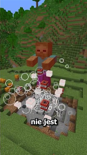 WHAT IS THE HEAVIEST MOB IN MINECRAFT