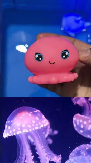 LEARN SEA ANIMALS NAMES AND FACTS| SEA ANIMAL TOYS FOR TODDLERS AND PRESCHOOLERS