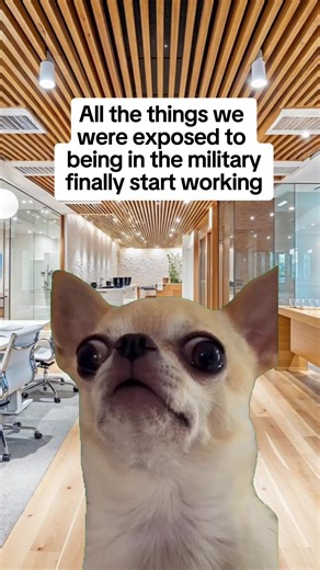 Exploring the Concept of Taste and Sound