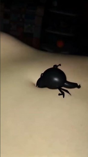 Another Strange Unknown Creature is invading my belly button, help me, pretty please, my poor navel