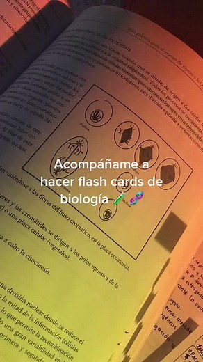 ¿Cómo hacer flashcards de biología efectivas? 🧪 🧬