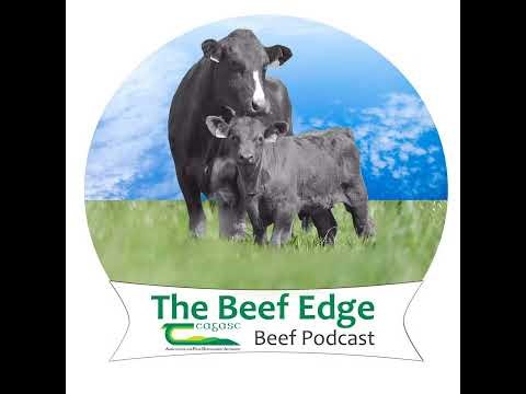 Transitioning Calves to Grass