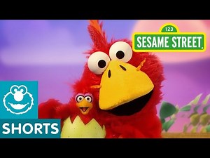 Sesame Street: Big Brother Bird | Elmo the Musical - Videos For Kids