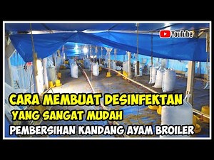 How to make an easy disinfectant for cleaning broiler chicken coops