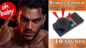 Cricket Noise Maker Prank with Remote Control, Hidden Pranks at Party, Office, Home, School, Car for Adults