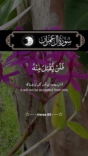 Ali Imran 85 #ayatsucialquran #aliimran #alquranmerdu