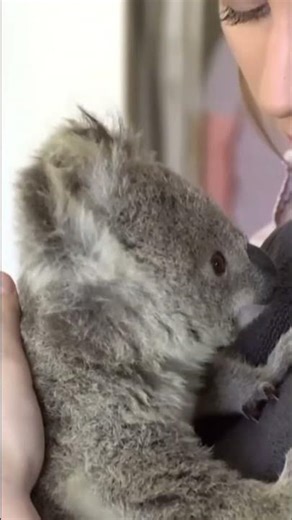 Adorable Animals Doing the Cutest Things You've Ever Seen!