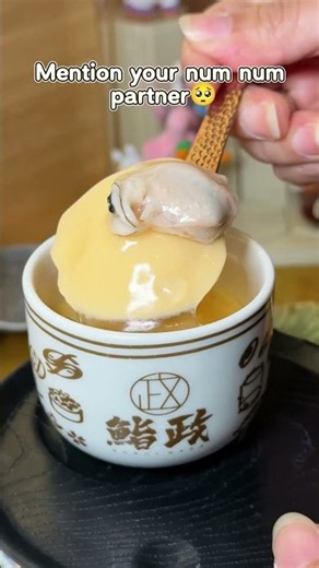 市場隣の魚がランチ並みの値段で、板前が「今日これ一番いいやつ」ってタメ口で出してくれる。これでいいんだよ、全部いい。🍣#鮨政 #Omakase #豊洲市場 #江戸前鮨 #寿司好き