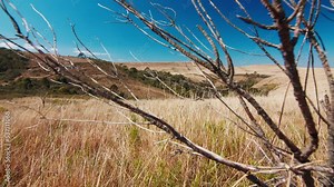 Brazilian highlands. Rocky and dry area of the mountains on the south of Brazil. State of Santa Catarina