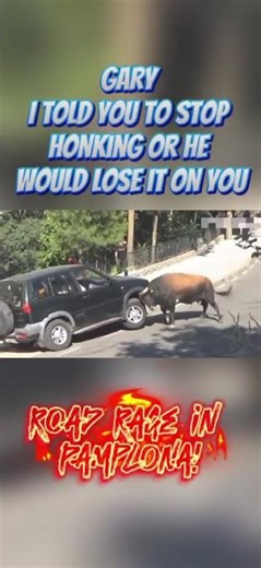 Bull Rips Up Car
