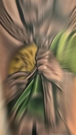 @draco_ink_tattoo #sanjudastadeo #bishoprotary #Tattoo #Tatuajes #Ink #Tattooed #DracoInkTattoo #Inked #TattooArtist #BodyArt #TatuadoresMexicanos #TattoosOfInstagram #Tatts #InstaTattoo #MexicanTattoo #eternalink #NocturnalInk #fusionInk #besttattoo #Skink | Draco INK Tattoo | Facebook